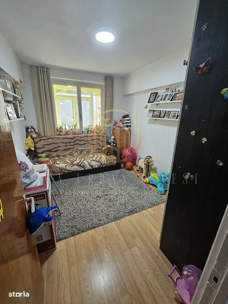 Teiul Doamnei, Ripiceni,