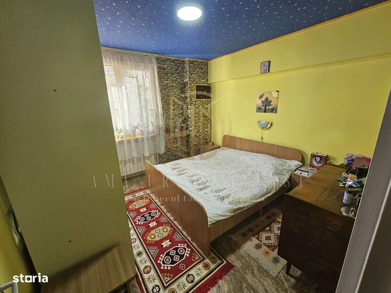 Teiul Doamnei, Ripiceni,