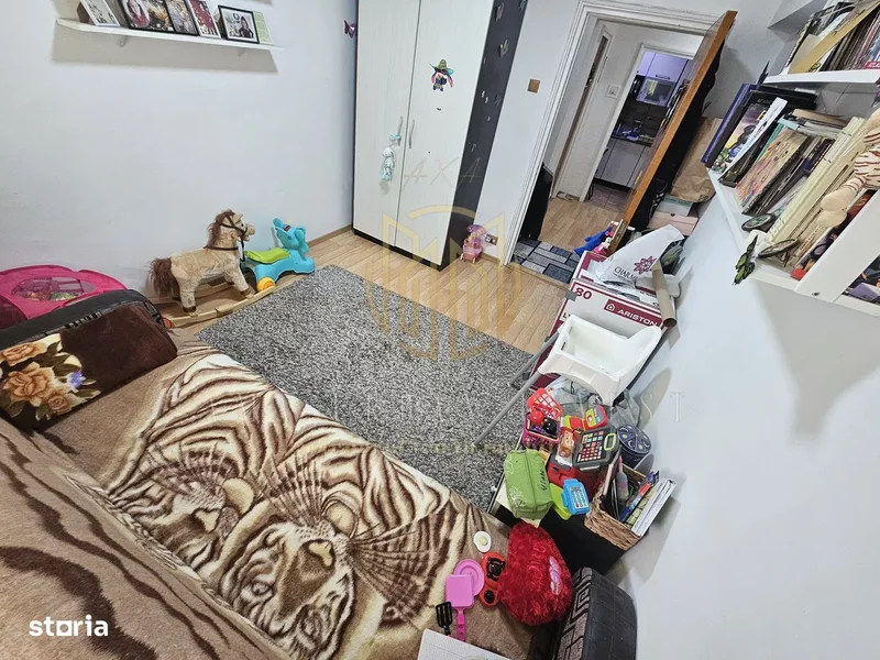 Teiul Doamnei, Ripiceni,