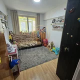 Teiul Doamnei, Ripiceni